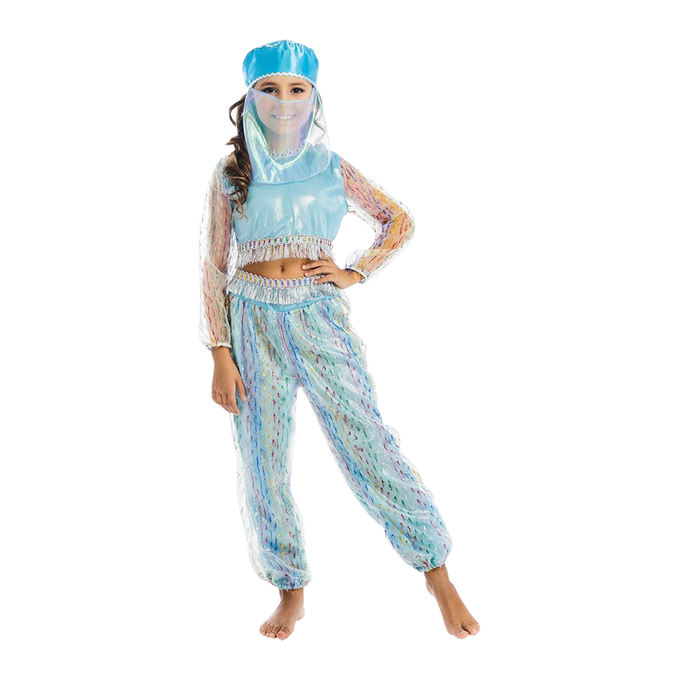 Womens Disney Aladdin Jasmine Deluxe Costume - Small - Blue